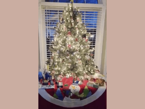 What Goodies Are Under Your Tree this Year?