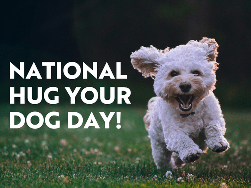 Let’s Celebrate National Hug Your Dog Day!