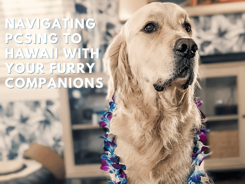 Island Bound: Navigating PCSing to Hawaii with Your Furry Companions