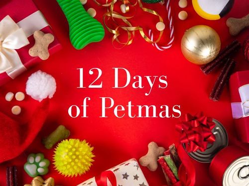 It’s the 12 Days of Petmas