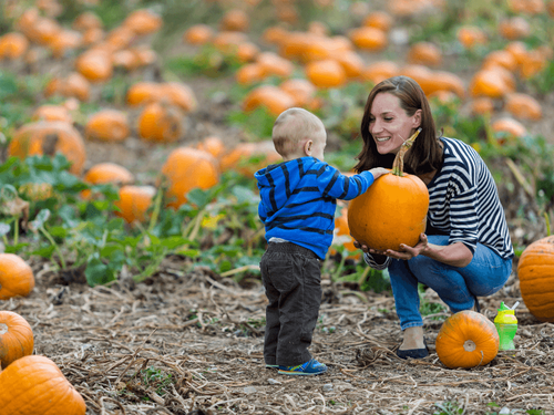 Spooky Season on the Move: How We Keep Halloween Traditions Alive at Every Duty Station