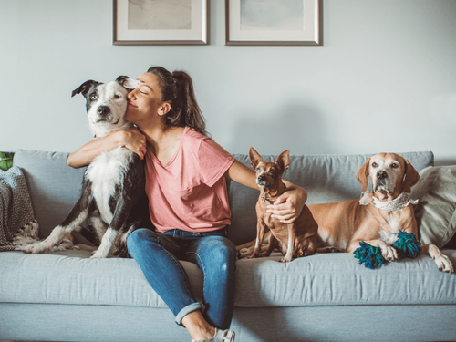 Survival Mode: It’s Just You & the Pets