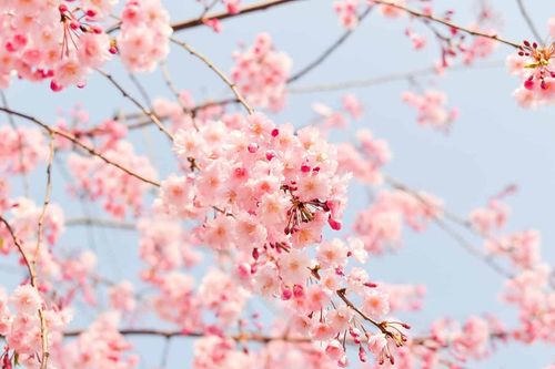 Got Orders to Japan? Here’s What to Take With You!