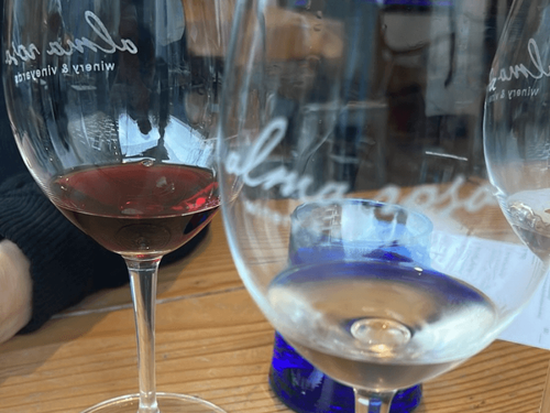Wander & Wine: The Art of the Pour – Beginner’s Guide to Savoring Wine With Intention