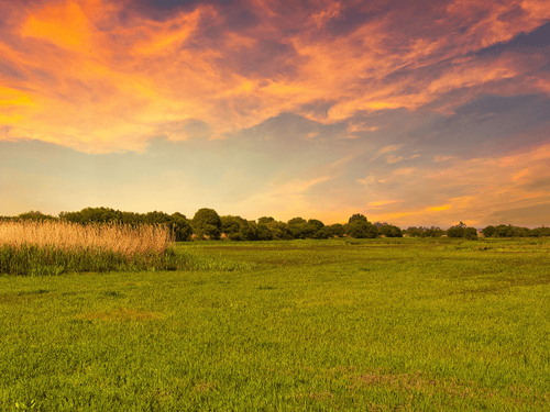 Sunlight & Strategy: Activating Your Longer Days