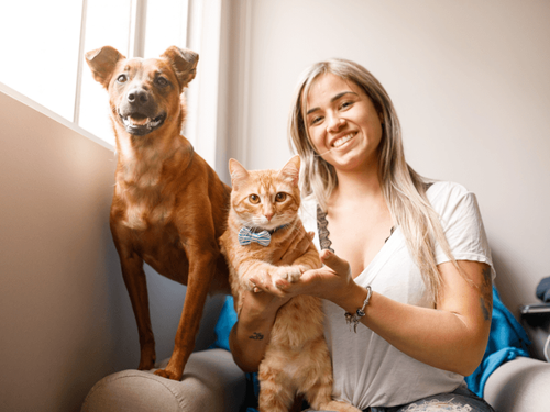 Boarding vs. Pet Sitter - Which Is Better for Holiday Travel?