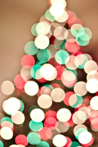 How to Decorate Your Tree!